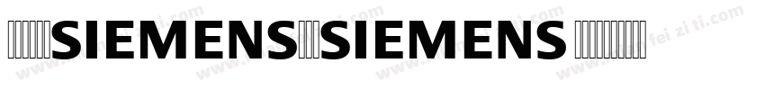 SiemensSans Bold字体转换